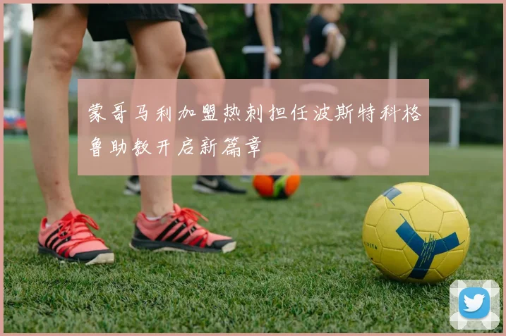 蒙哥马利加盟热刺担任波斯特科格鲁助教开启新篇章